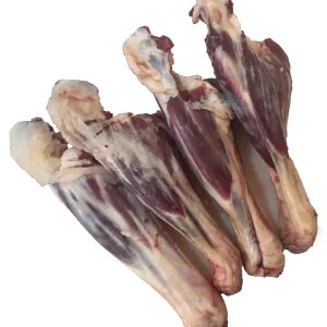 ماهیچه گوسفندی